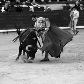 Feria de la Magdalena