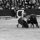 Feria de la Magdalena