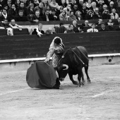 Feria de la Magdalena