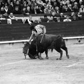 Feria de la Magdalena