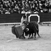 Feria de la Magdalena