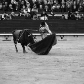 Feria de la Magdalena