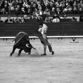 Feria de la Magdalena