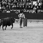 Feria de la Magdalena