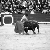 Feria de la Magdalena