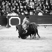 Feria de la Magdalena