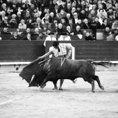 Feria de la Magdalena