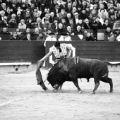 Feria de la Magdalena