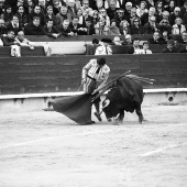 Feria de la Magdalena