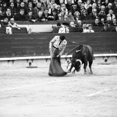 Feria de la Magdalena