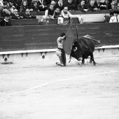 Feria de la Magdalena