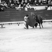 Feria de la Magdalena