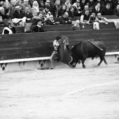 Feria de la Magdalena