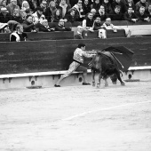 Feria de la Magdalena