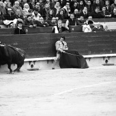 Feria de la Magdalena