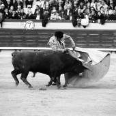 Feria de la Magdalena