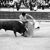 Feria de la Magdalena