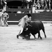 Feria de la Magdalena