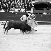 Feria de la Magdalena