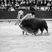 Feria de la Magdalena