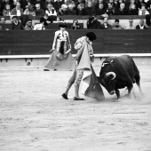 Feria de la Magdalena