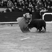 Feria de la Magdalena