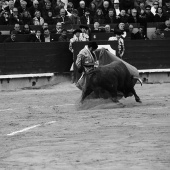 Feria de la Magdalena