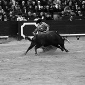 Feria de la Magdalena