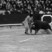 Feria de la Magdalena