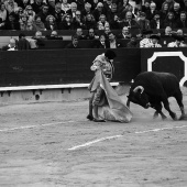 Feria de la Magdalena