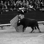 Feria de la Magdalena