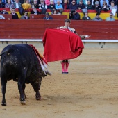 Feria de la Magdalena