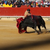 Feria de la Magdalena