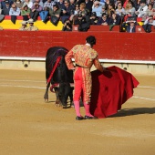 Feria de la Magdalena