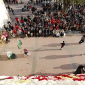 Ofrenda de flores