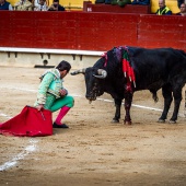 Feria de la Magdalena