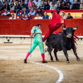 Feria de la Magdalena