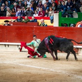 Feria de la Magdalena