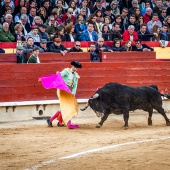 Feria de la Magdalena