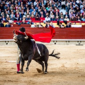 Feria de la Magdalena