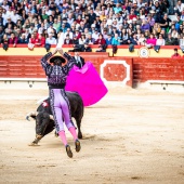 Feria de la Magdalena