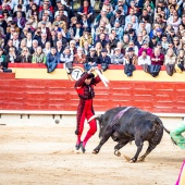 Feria de la Magdalena