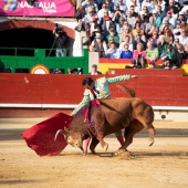 Feria de la Magdalena