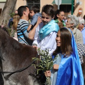 Domingo de Ramos