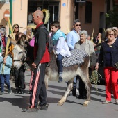 Domingo de Ramos