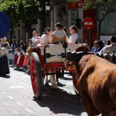 Castellón, 2019