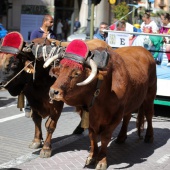 Castellón, 2019