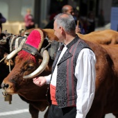 Castellón, 2019