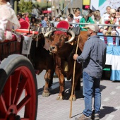 Castellón, 2019