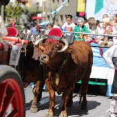 Castellón, 2019